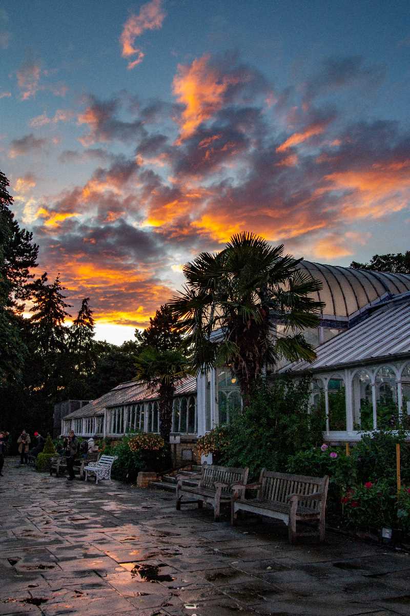 Sunset over the glasshouses at Birmingham Botanical Gardens. 